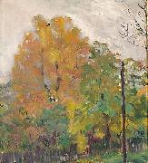 Deciduous trees in fall suit with cuts Bernhard Folkestad